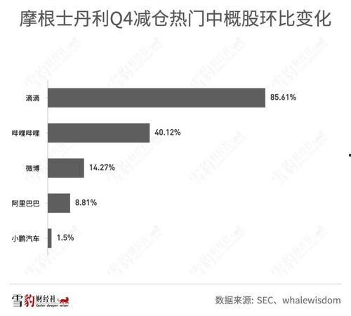 17pm最新爆料全解析,最新爆料全解析深度解读